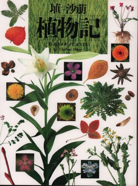 画像1: 植物記 【状態A】 (1)