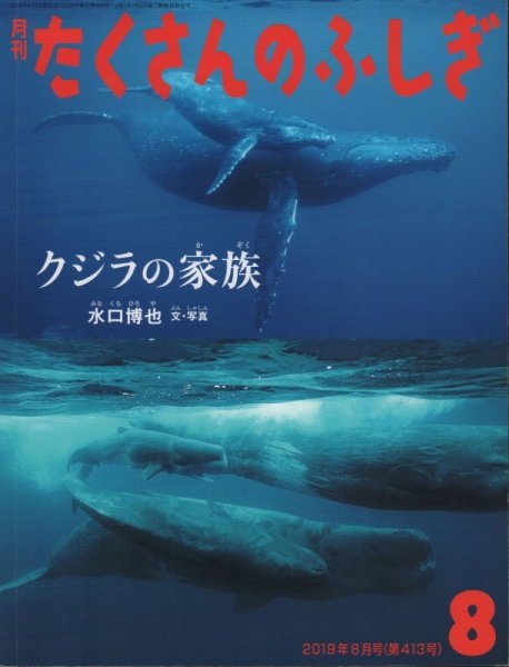 画像1: クジラの家族（たくさんのふしぎ413号）【バーゲンブック】 (1)