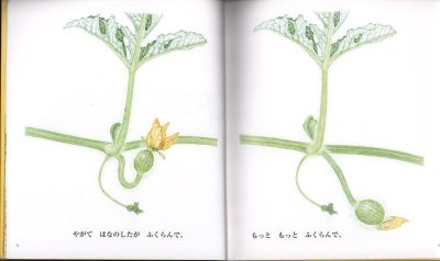 画像1: だんだん　ぐんぐん　ずんずん　どんどん（ちいさなかがくのとも232号）【状態A】