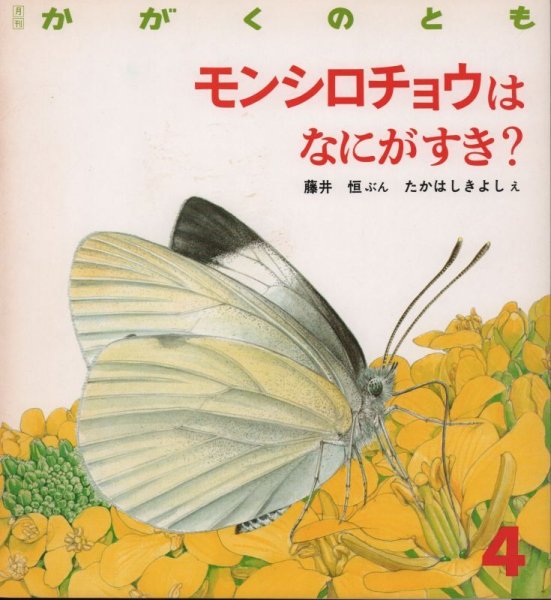 画像1: モンシロチョウはなにがすき？（かがくのとも229号）【バーゲンブック】希少本 (1)