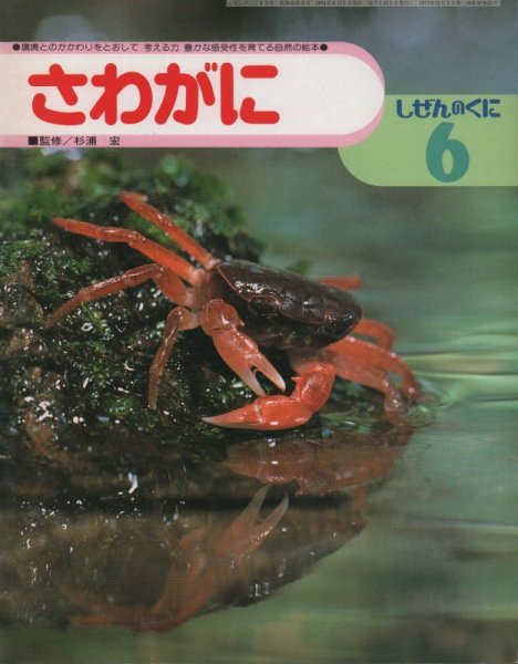 画像1: しぜんのくに　さわがに　1994年版【状態B】希少本 (1)