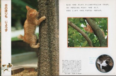 画像1: しぜんのくに　ねこ　1994年版【状態B】希少本