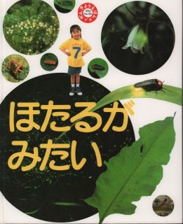 確認用　絵本 ほたる しぜん zaa-607 キンダーブック しぜん「ほたる」対象 4～5歳児クラス