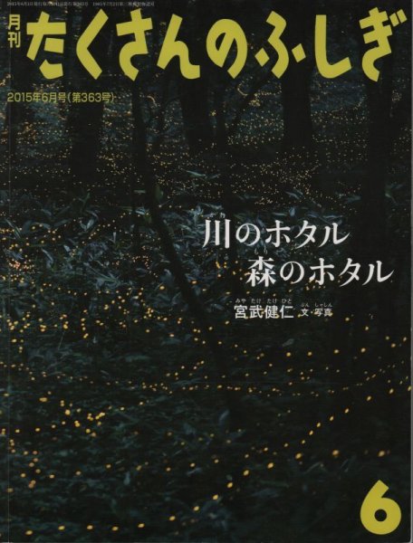 画像1: 川のホタル 森のホタル（たくさんのふしぎ363号）【状態A】 (1)