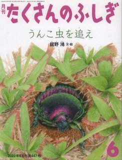 ハチという虫（たくさんのふしぎ435号）【状態A】2｜こども古本店
