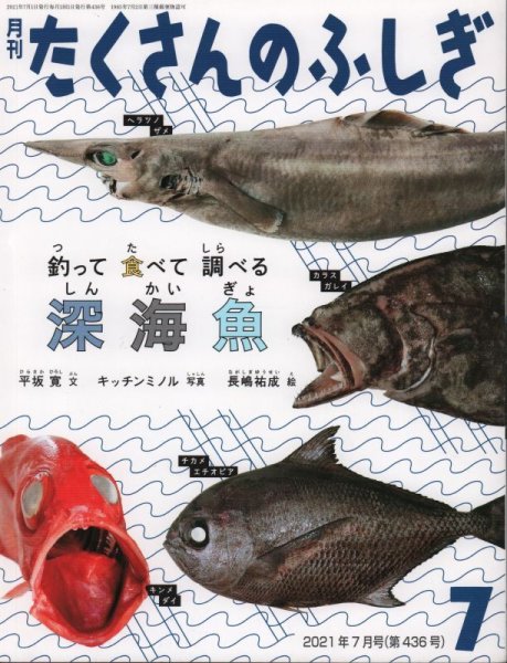 画像1: 釣って食べて調べる深海魚（たくさんのふしぎ436号）【状態A】 (1)