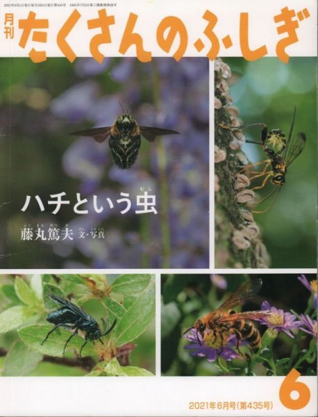 画像1: ハチという虫（たくさんのふしぎ435号）【状態B】 (1)