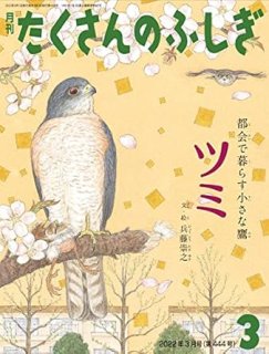 たくさんのふしぎ - こども古本店