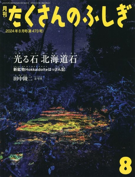 画像1: 光る石 北海道石（たくさんのふしぎ473号）【状態A】 (1)