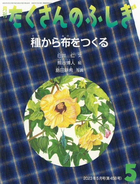 画像1: 種から布をつくる（たくさんのふしぎ458号）【状態A】２ (1)