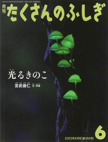 画像1: 光るきのこ（たくさんのふしぎ459号）【状態A】 (1)
