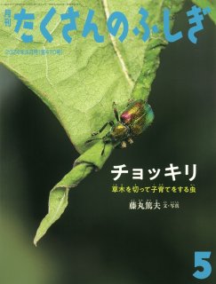 釣って食べて調べる深海魚（たくさんのふしぎ436号）【状態A】｜こども