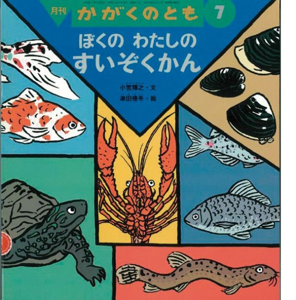 画像1: ぼくの わたしの すいぞくかん（かがくのとも316号）【状態A】希少本 (1)