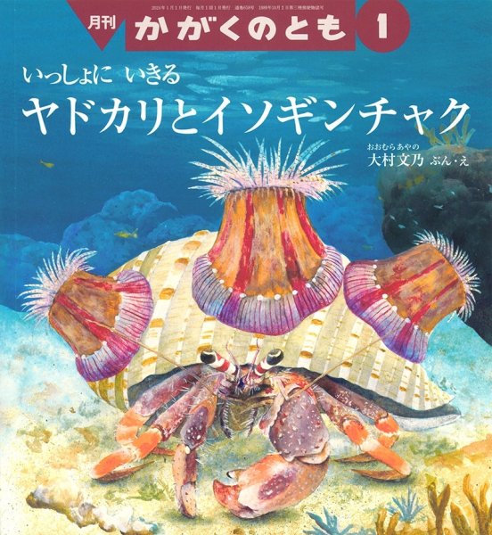 画像1: ヤドカリとイソギンチャク(かがくのとも658号）【状態A】 (1)