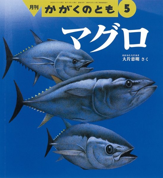 画像1: マグロ（かがくのとも638号）【状態A】 (1)
