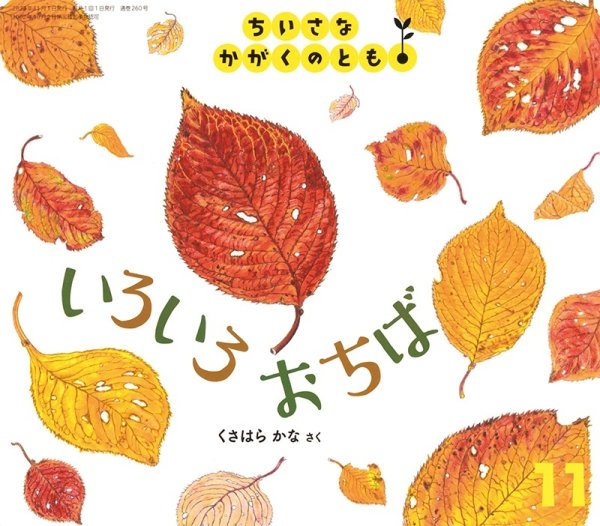 画像1: いろいろ おちば（ちいさなかがくのとも260号）【状態A】 (1)