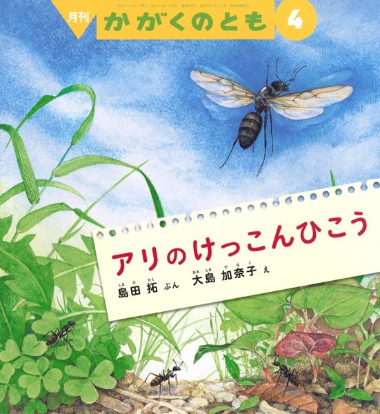 画像1: アリの けっこんひこう(かがくのとも649号）【状態A】 (1)