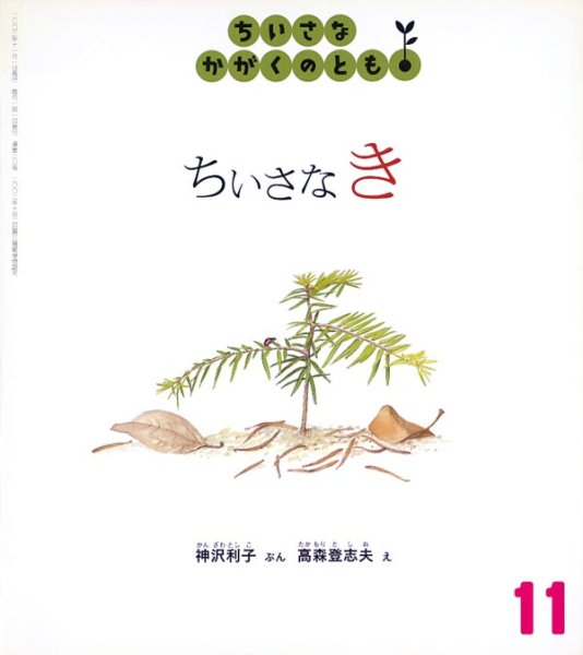 画像1: ちいさなき（ちいさなかがくのとも20号）【状態A】 (1)