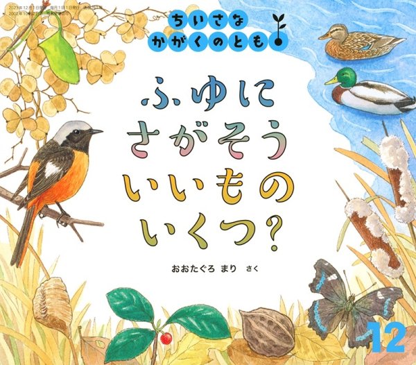 画像1: ふゆに さがそう いいもの いくつ？（ちいさなかがくのとも261号）【状態A】 (1)