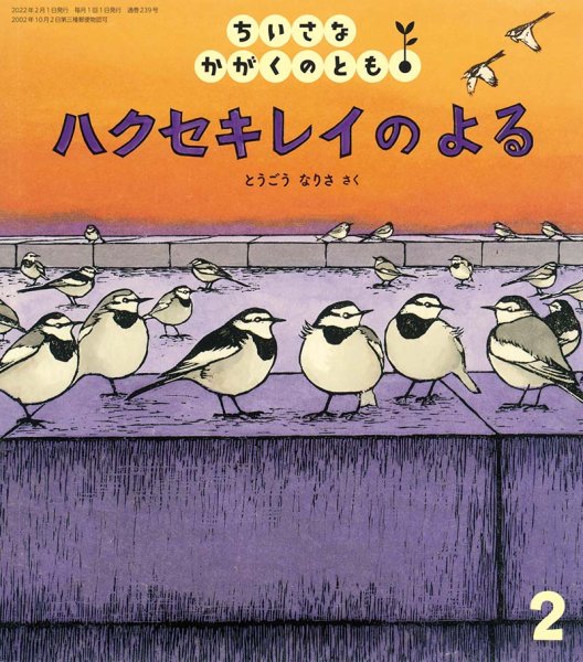 画像1: ハクセキレイの　よる（ちいさなかがくのとも239号）【バーゲンブック】 (1)