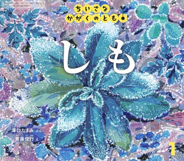 画像1: しも（ちいさなかがくのとも262号）【状態A】２ (1)