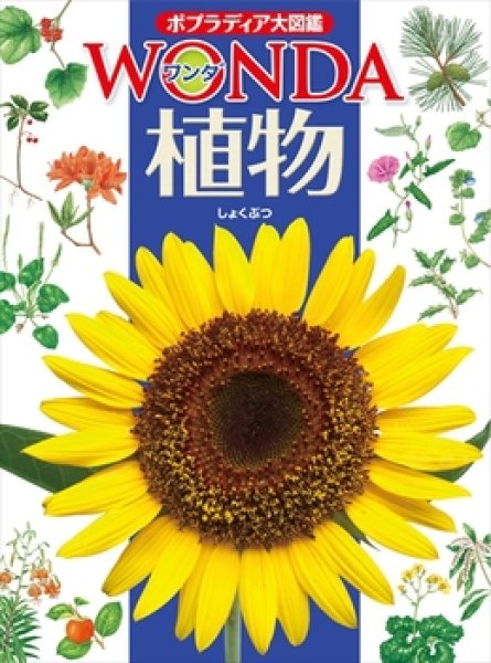 画像1: ポプラディア大図鑑WONDA 植物【状態A】 (1)