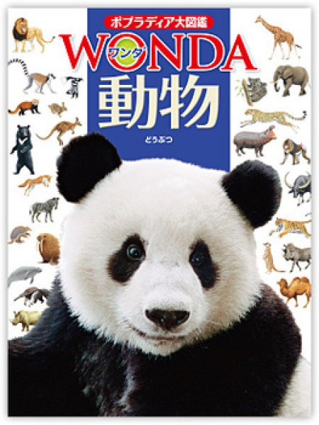 画像1: ポプラディア大図鑑WONDA 動物【状態B】 (1)