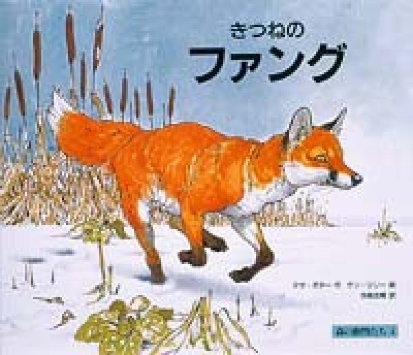 画像1: きつねのファング【状態B】 (1)