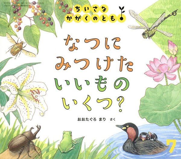 画像1: なつに みつけた いいもの いくつ？(ちいさなかがくのとも280号）【状態A】 (1)