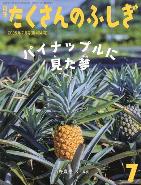 画像1: パイナップルに見た夢（たくさんのふしぎ484号）【状態A】 (1)
