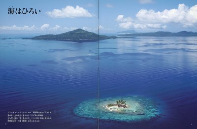 画像1: 海は(たくさんのふしぎ483号)【状態C】