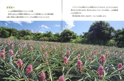 画像1: パイナップルに見た夢(たくさんのふしぎ484号)【状態A】