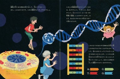 画像1: あなたの中のふしぎ DNA(たくさんのふしぎ481号)【状態A】