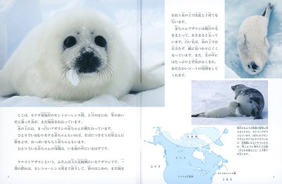 画像1: アシカとアザラシ(たくさんのふしぎ475号)【状態B】