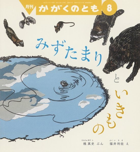 画像1: みずたまりと いきもの（かがくのとも677号）【状態C】 (1)