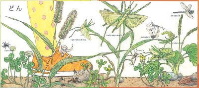 画像2: くさはらどん【状態A】/