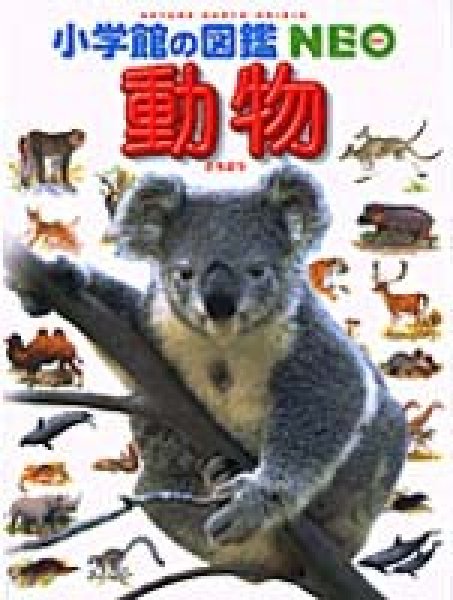 画像1: 小学館の図鑑NEO 動物【状態A】/ (1)
