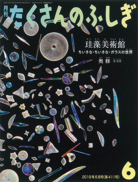 画像1: 珪藻美術館 ちいさな・ちいさな・ガラスの世界（たくさんのふしぎ411号）【状態A】 (1)