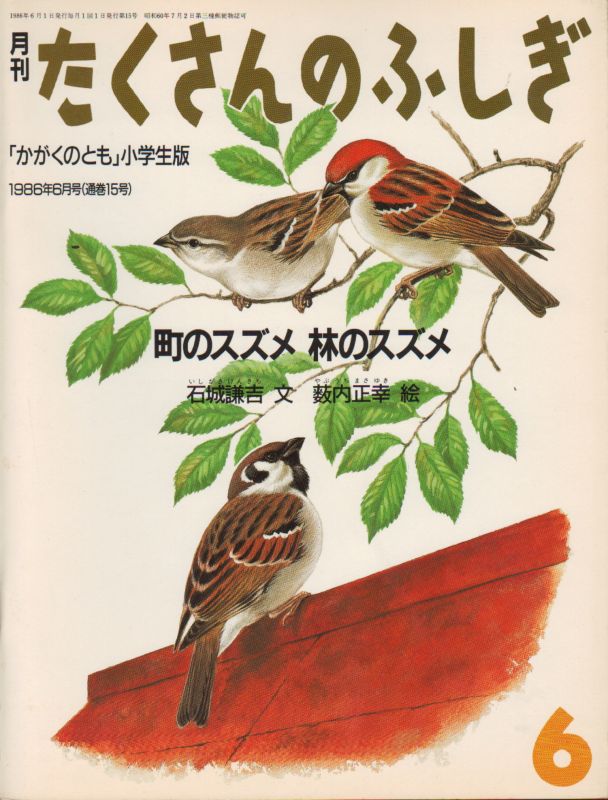 町のスズメ林のスズメ（たくさんのふしぎ15号）【状態C】希少本