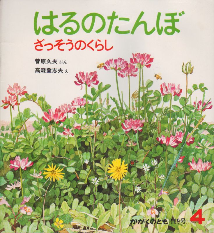 はるのたんぼーざっそうのくらし（かがくのとも169号）【バーゲンブック】＊希少本　こども古本店