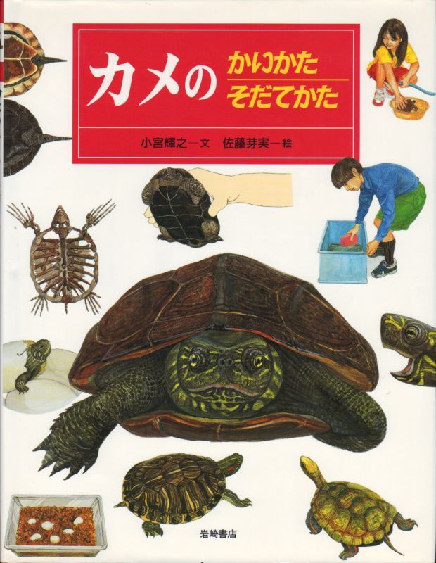 カメのかいかたそだてかた 状態ｃ こども古本店