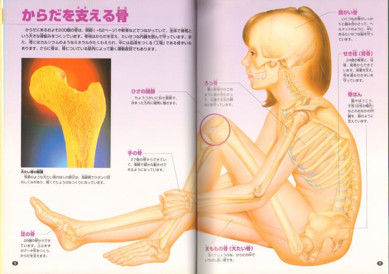 人のからだ ジュニア学研の図鑑 バーゲンブック こども古本店