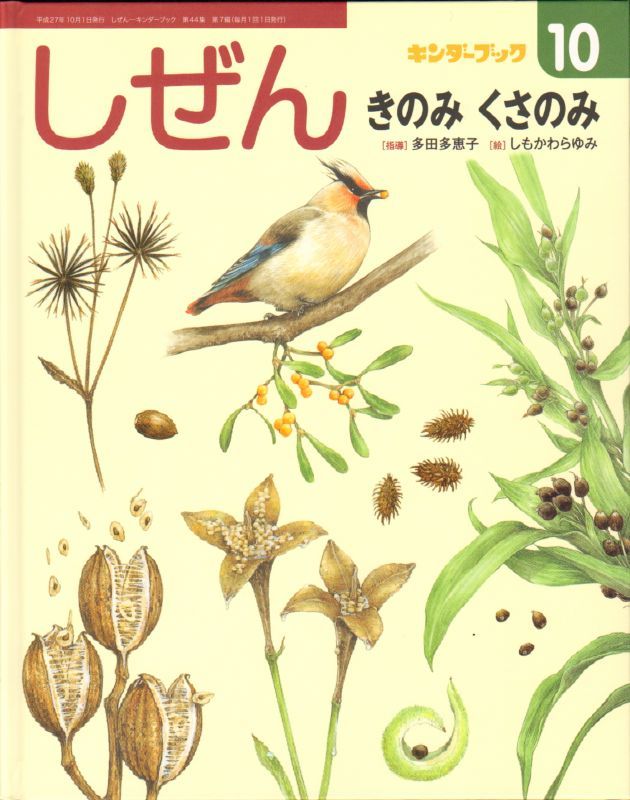 きのみ くさのみ（しぜん-キンダーブック平成27年10月発行）【状態C】＊