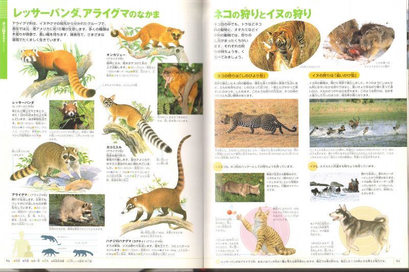 小学館の図鑑 NEO 動物』他8冊セット｜本、雑誌
