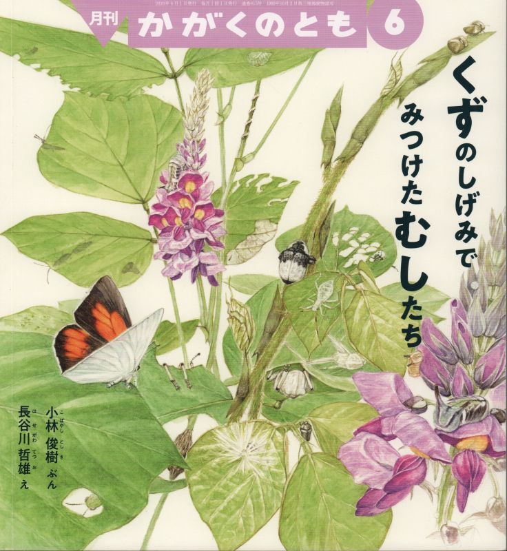 くずのしげみで みつけた むしたち（かがくのとも615号）【状態B】2 こども古本店