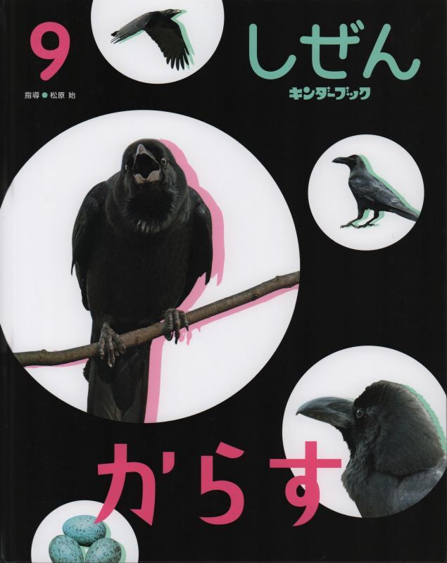 からす（しぜん-キンダーブック2019年9月発行）【状態C】